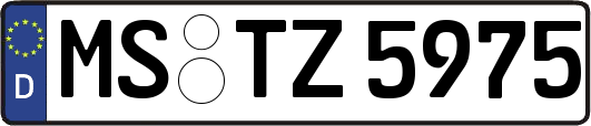 MS-TZ5975