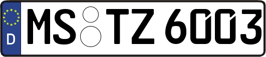 MS-TZ6003