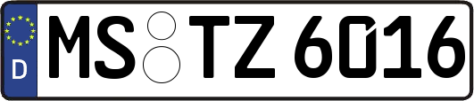 MS-TZ6016