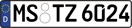 MS-TZ6024
