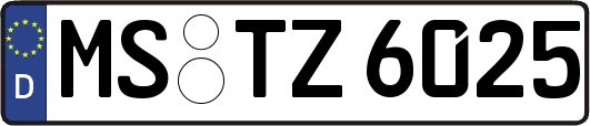MS-TZ6025