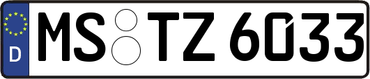 MS-TZ6033