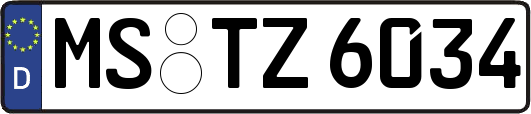 MS-TZ6034