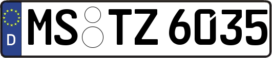 MS-TZ6035
