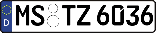MS-TZ6036