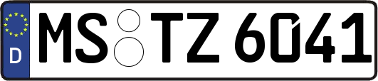 MS-TZ6041