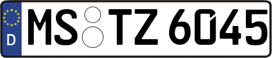 MS-TZ6045