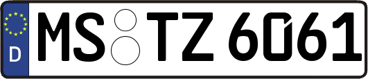 MS-TZ6061