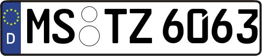 MS-TZ6063
