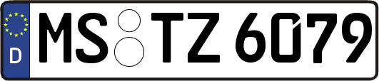 MS-TZ6079