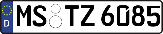 MS-TZ6085