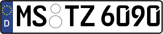 MS-TZ6090