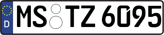 MS-TZ6095