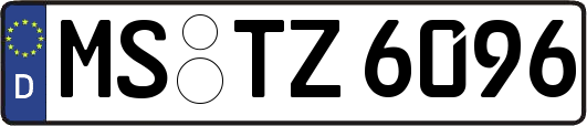 MS-TZ6096
