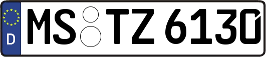 MS-TZ6130