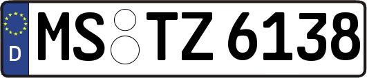 MS-TZ6138