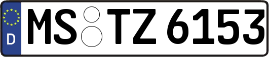 MS-TZ6153