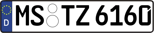 MS-TZ6160