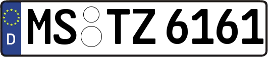 MS-TZ6161