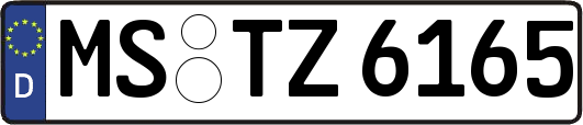 MS-TZ6165