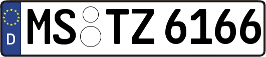MS-TZ6166