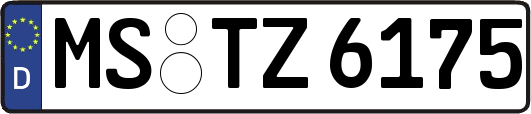 MS-TZ6175