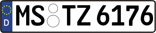 MS-TZ6176