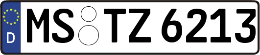 MS-TZ6213