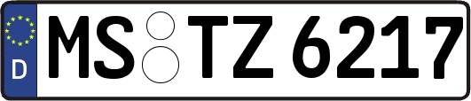 MS-TZ6217