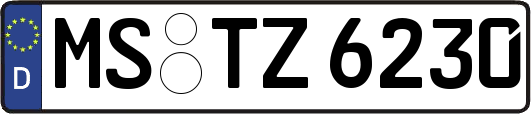 MS-TZ6230