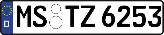 MS-TZ6253