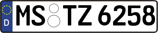MS-TZ6258