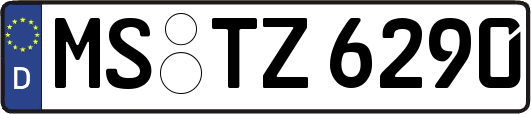 MS-TZ6290