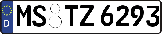 MS-TZ6293