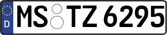 MS-TZ6295