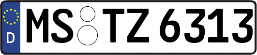MS-TZ6313