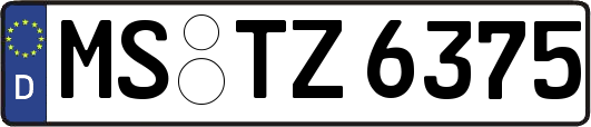 MS-TZ6375