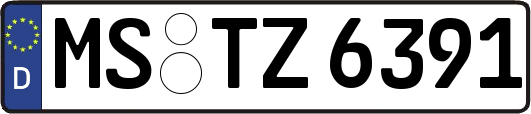 MS-TZ6391