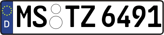 MS-TZ6491