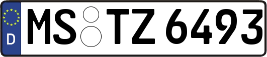 MS-TZ6493