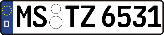 MS-TZ6531
