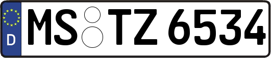 MS-TZ6534
