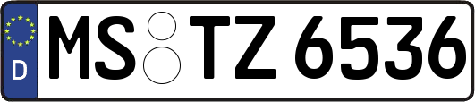 MS-TZ6536