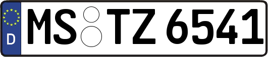 MS-TZ6541