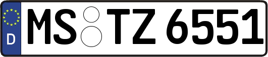 MS-TZ6551
