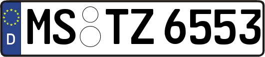MS-TZ6553