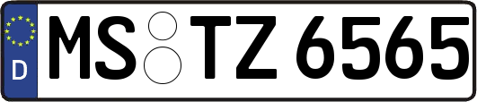MS-TZ6565