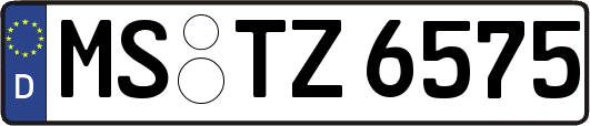 MS-TZ6575