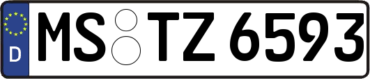 MS-TZ6593