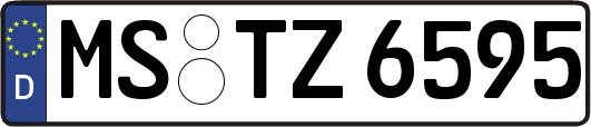 MS-TZ6595